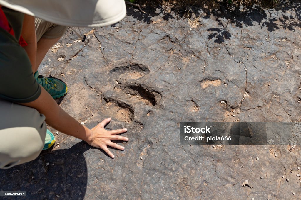 Dinosaur footprint: woman paleontologist at work in South West USA Adventures in the Southwest USA, paleontologist at work Dinosaur Stock Photo