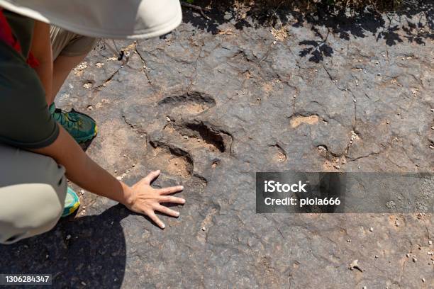 Dinosaur Footprint Woman Paleontologist At Work In South West Usa Stock Photo - Download Image Now