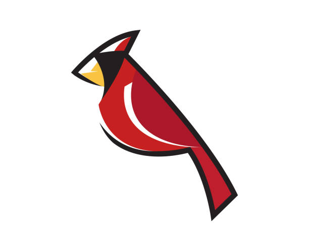 Creative Red Bird Cardinal Creative Red Bird Cardinal  Vector northern cardinal stock illustrations