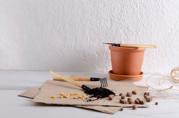 istock Shovel, rake, soil on the paper, clay pot on the white table against bright wall.Empty space 1306286348