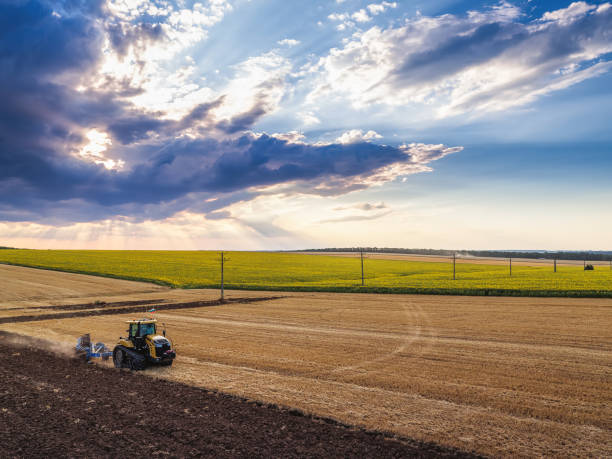 istock Tractor plowing the fields, agricultural landscape 1306286961