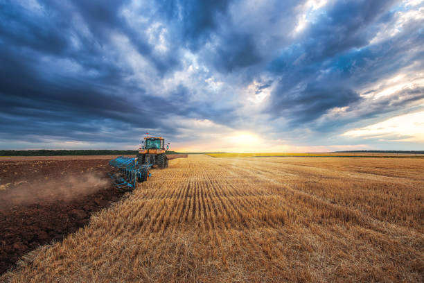 istock Tractor plowing the field, agricultural landscape 1306286996
