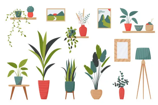 Vector illustration of Set of isolated interior decor elements. Home plants in pots, lamps, shelves and pictures for decor your living room or office.