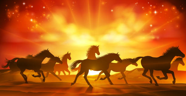 Running Horses Silhouette Herd Background A running or stampeding herd of wild horses in silhouette with a sunset or sunrise in the background stampeding stock illustrations