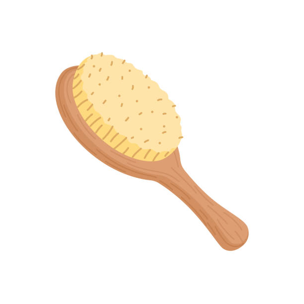 21,616 Hairbrush Illustrations & Clip Art - iStock | Hairbrush icon,  Singing hairbrush, Hairbrush isolated