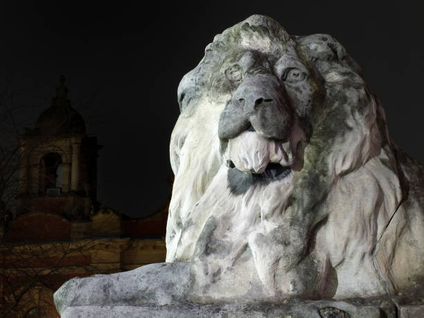 detalhe de escultura leão fora leeds prefeitura à noite - leeds england leeds town hall night uk - fotografias e filmes do acervo