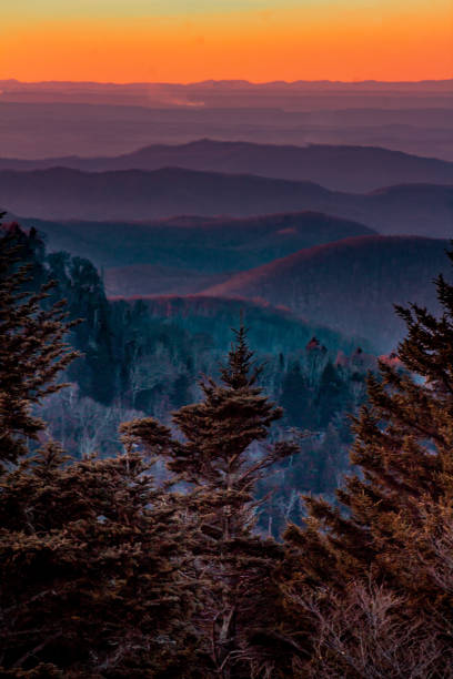 Panorama Along Blue Ridge Parkway: Ridge Junction Overlook, North Carolina