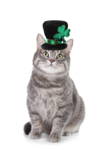 istock Cute gray tabby cat with leprechaun hat on white background. St. Patrick's Day 1306307239