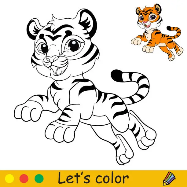 Vector illustration of Cute jumping tiger coloring with colorful template vector