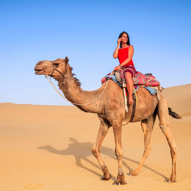 istock Young female tourist using mobile on a camel, Rajasthan, India 1306308158