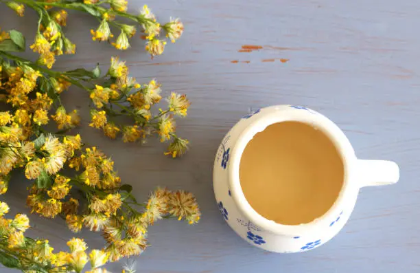 Tea in a mug on wood background with goldenrod herb plant, Solidago virgaurea on a blue background. Treats kidney and urinary tract diseases, improves metabolism. Nature concept.