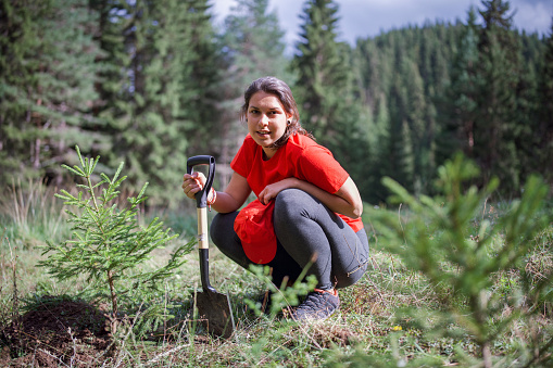 Portrait of a young female volunteer planting a pine tree in the forest and looking at the camera.