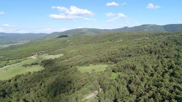 istock Green nature landscape Yozgat Turkey 1306312267