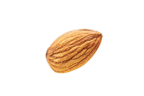 istock almond isolated on white background. prunus dulcis cut out 1306312662