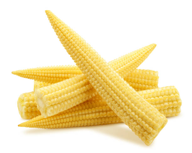 istock baby corn, isolated on white background, clipping path, full depth of field 1306313050