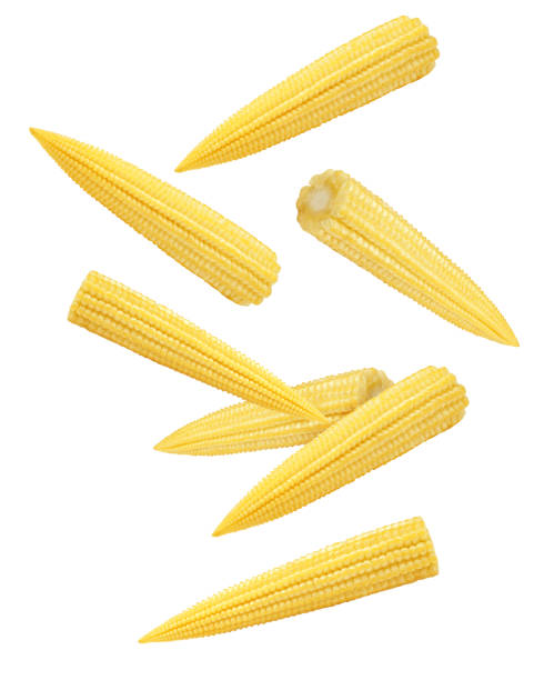 Falling baby corn, isolated on white background, clipping path, full depth of field Falling baby corn, isolated on white background, clipping path, full depth of field levitation stock pictures, royalty-free photos & images