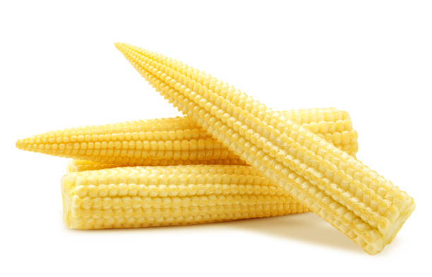 istock baby corn, isolated on white background, clipping path, full depth of field 1306313112