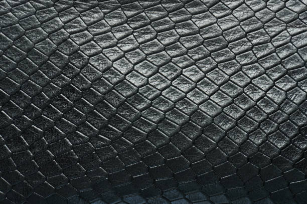 istock Black shiny crocodile skin background 1306314179