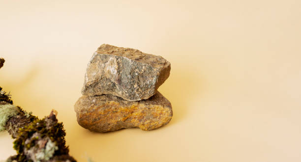 istock Stones and a tree branch on a beige background. Template for the text. 1306314691