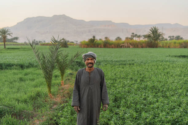 Luxor, Egypt - January 23, 2021:  Portrait of Egyptian man working in the field