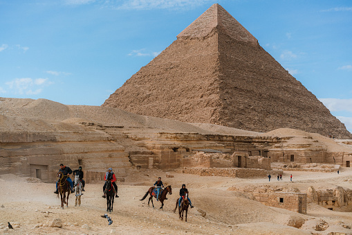 Camel and Giza Pyramids 