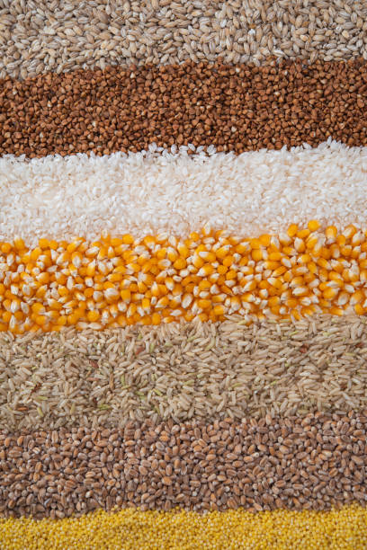 istock background from a set of cereals 1306317851
