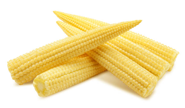 istock baby corn, isolated on white background, clipping path, full depth of field 1306318405
