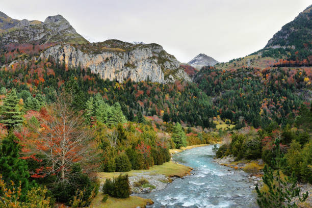 istock Autumn scene in Bujaruelo valley, Spain 1306320118