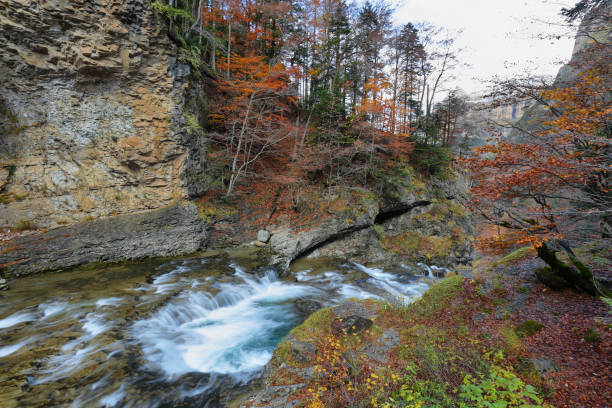 istock Autumn scene in Ordesa and Monte Perdido National Park, Spain 1306320123