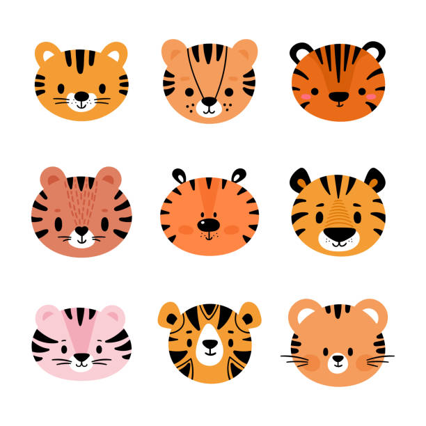 Tiger Face Illustrations, Royalty-Free Vector Graphics & Clip Art - iStock