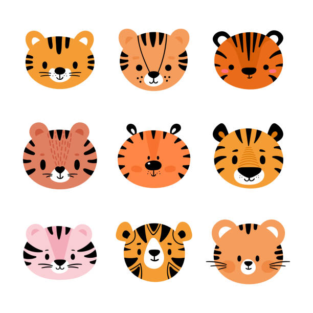 Tiger Face Illustrations, Royalty-Free Vector Graphics & Clip Art - iStock Tiger Face Illustrations, Royalty-Free Vector Graphics & Clip Art - iStock