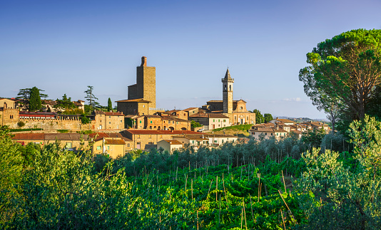 Vinci, Leonardo birthplace, village skyline vineyards and olive trees at sunset. Florence, Tuscany Italy Europe.