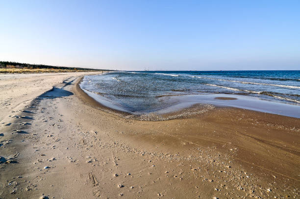 istock Beach by the Baltic Sea. Poland 1306322371