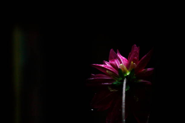 istock i see you freshness in the dark 1306326490