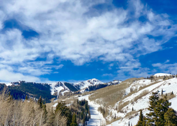 istock Mountain scenic alpine view Utah, USA 1306328966