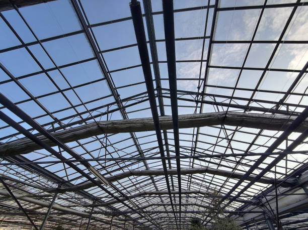 istock glass greenhouse view 1306330175