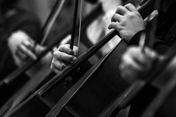 istock Hands of a musician playing the cello 1306332000