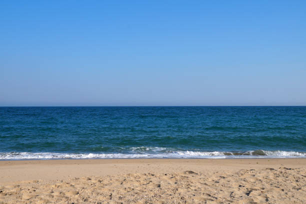 istock empty sandy beach, sea horizon and clear sky 1306333424