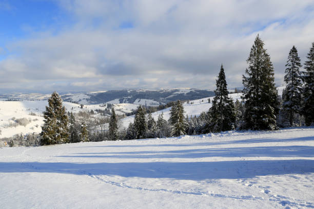 istock winter landscape in Carpathians 1306333435