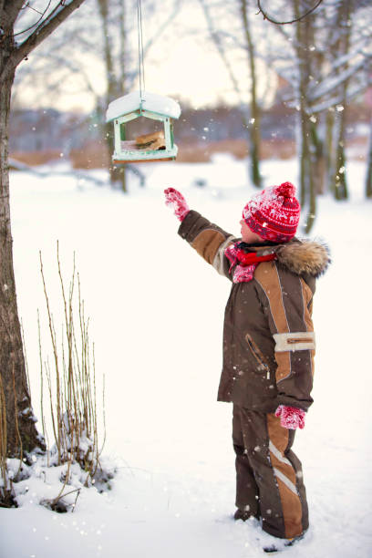 istock A little boy lays down bread in a bird feeder on a winter day. 1306333839