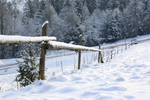 istock wooden fence on winter meadow 1306334522