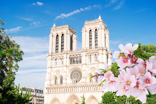 Notre Dame cathedral on Cite island, facade lclose ap at spring, Paris cityscape, France