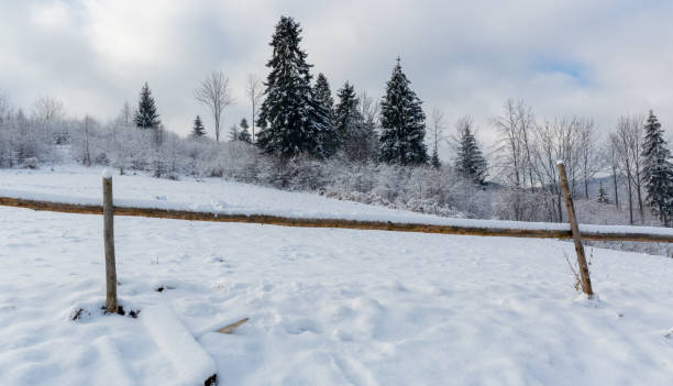 istock wooden fence on winter meadow 1306334559