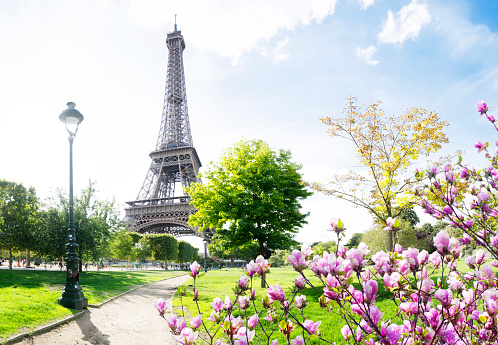 Paris Eiffel Tower with park pathway in Paris at spring, France. Eiffel Tower is one of the most iconic landmarks of Paris.