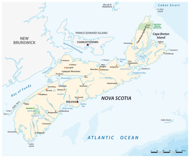 vektorkarte der kanadischen provinz nova scotia - nova scotia stock-grafiken, -clipart, -cartoons und -symbole