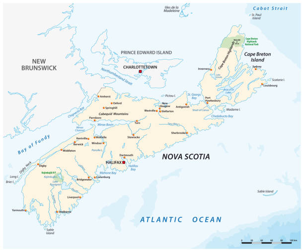 illustrazioni stock, clip art, cartoni animati e icone di tendenza di mappa vettoriale della provincia canadese della nuova scozia - scotia