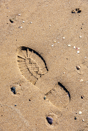 A lone footprint on a sandy beach.
