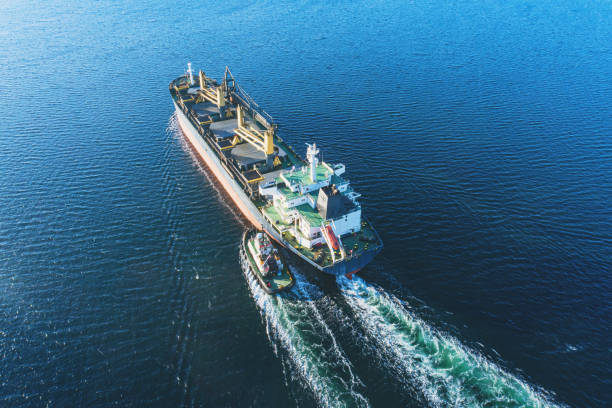 istock Gypsum Freighter in Harbour 1306338137