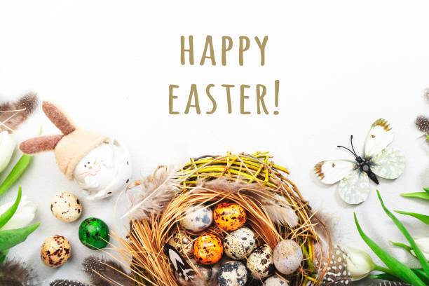 istock Spring Easter holiday white background with tulips, quail eggs, butterflies, bunny and feathers in a nest. Banner with copy space. Top view 1306341729