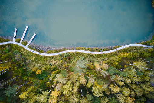Aerial of embankment by river in the park in autumn. People walking through the footpath on coastline